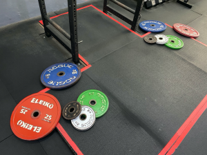 barbell training, calibrated plates, barbell gym, weight plates