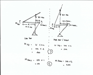 squat, high bar squat, low bar squat, squat mechanics, how to squat