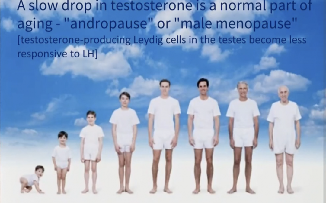 Testosterone: The Good, the Bad, the Ugly by Dr Sanjay Doshi