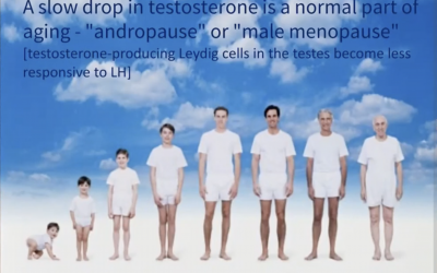 Testosterone: The Good, The Bad, The Ugly by Dr Sanjay Doshi