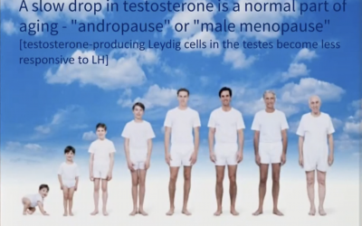 Testosterone: The Good, the Bad, the Ugly by Dr Sanjay Doshi