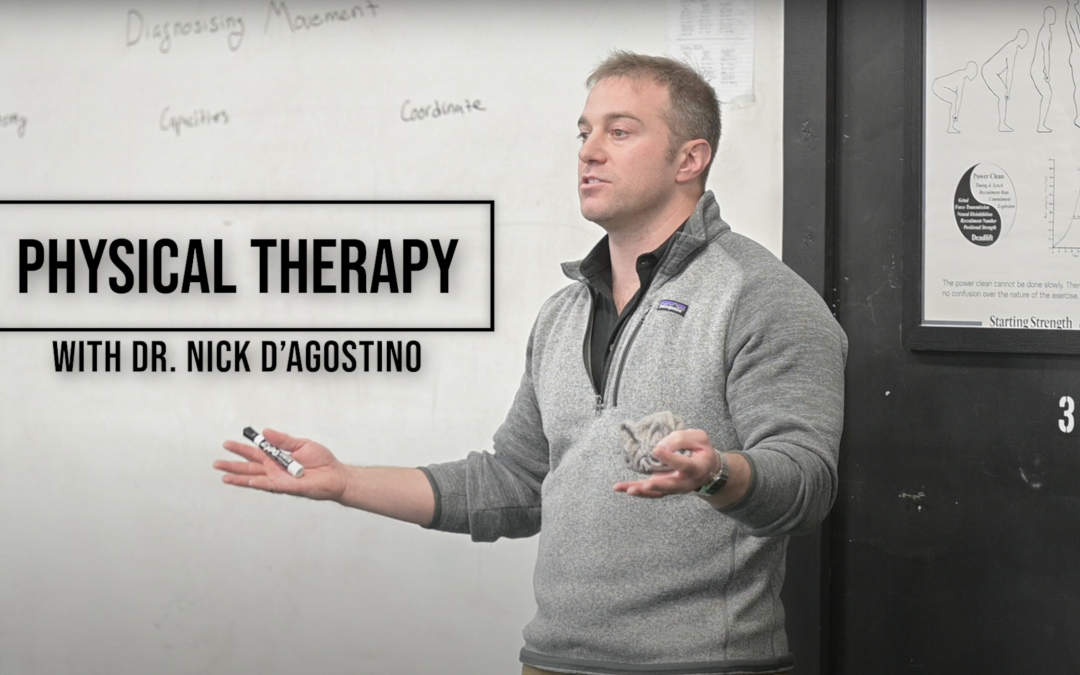 Talking About Physical Therapy With Dr. Nick D’Agostino