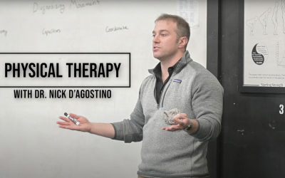 Talking About Physical Therapy With Dr. Nick D’Agostino