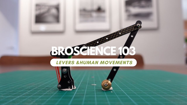 BROSCIENCE 103 – Levers and Human Movements