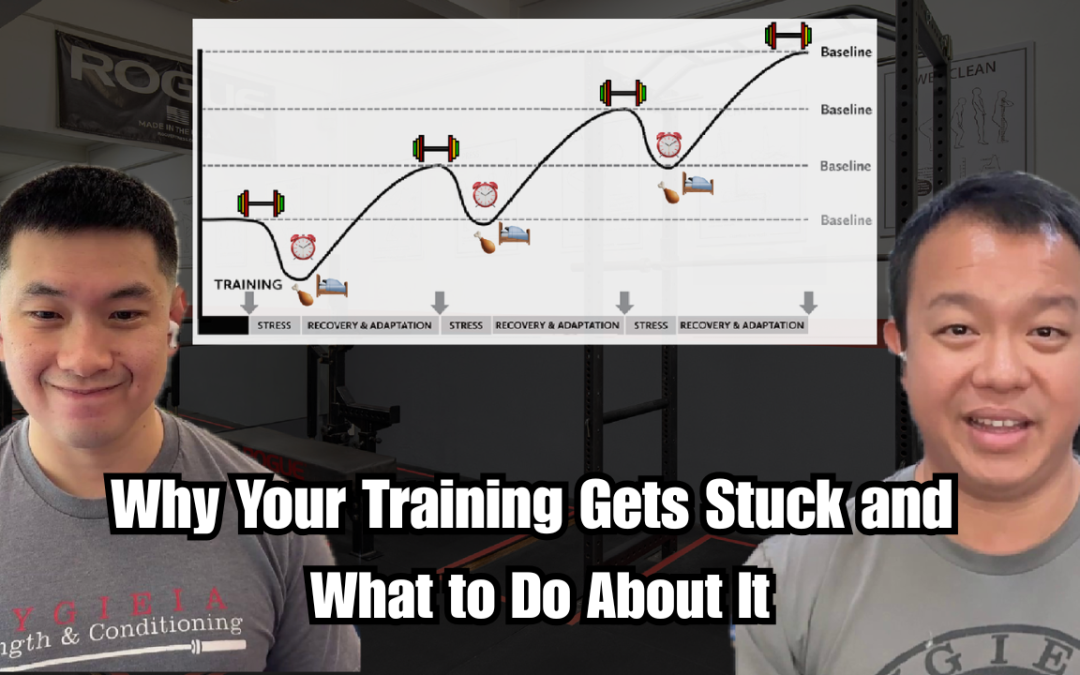 Why Your Training Gets Stuck and What to Do About It